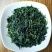 新货荠菜速冻荠菜馅速冻荠菜整棵脱水荠菜碎脱水荠菜整棵批发