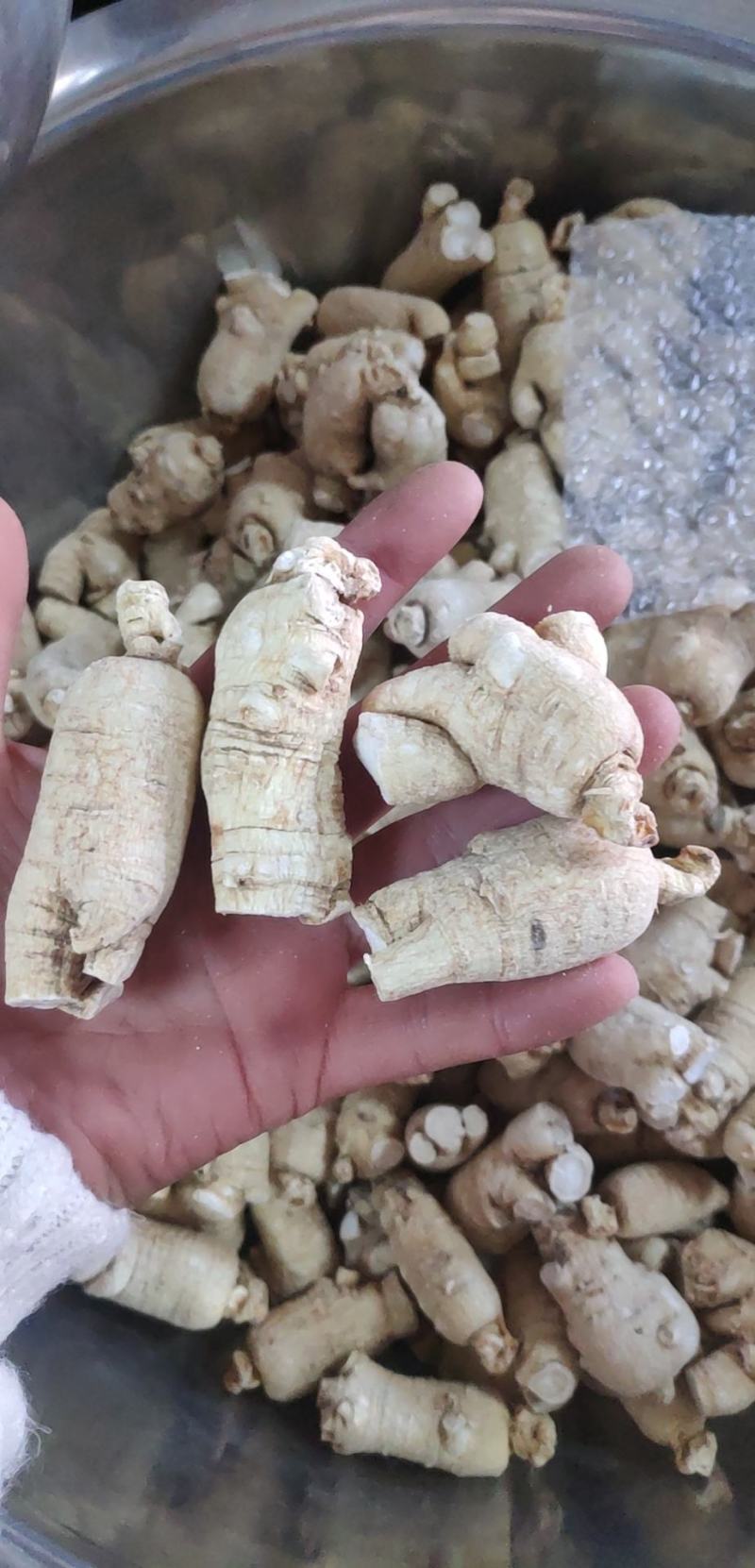 产地发货，西洋参粒头，正宗长白山西洋参，各种规格