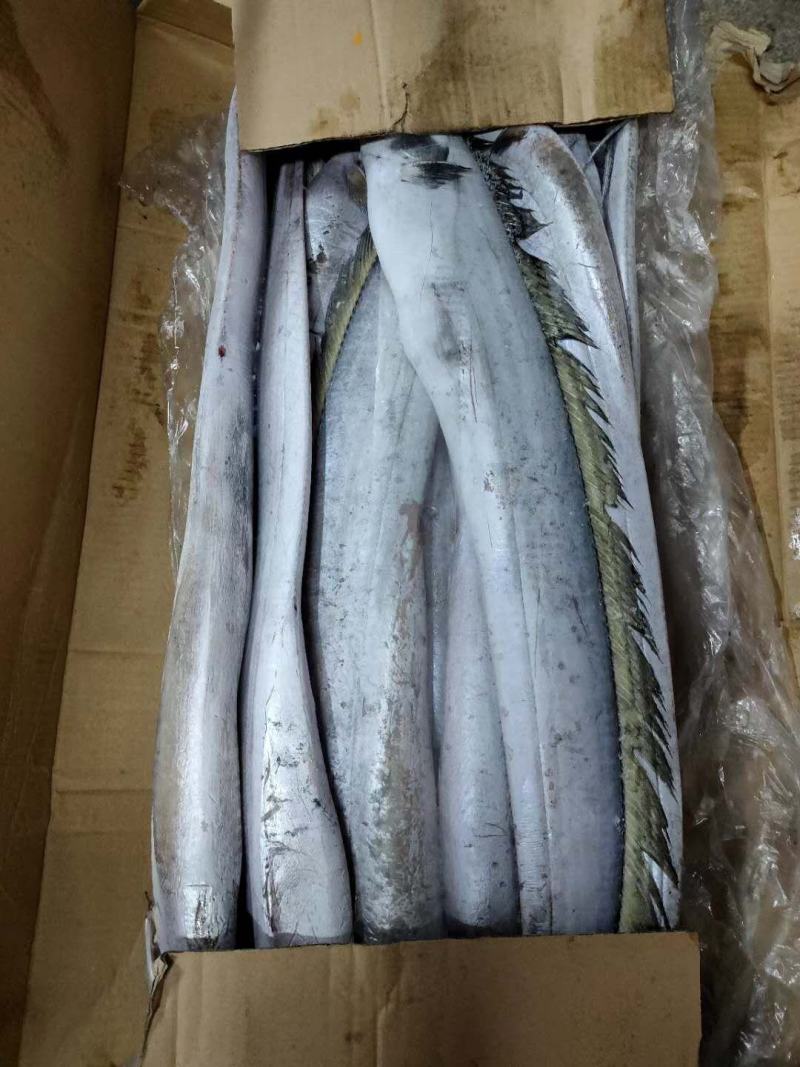 鲨鱼。。。靓货，味道正，北海特产