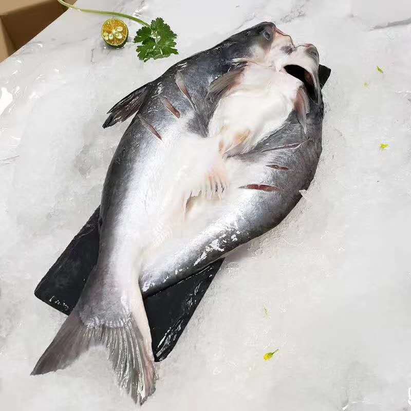 鲨鱼。。。靓货，味道正，北海特产