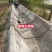 路面水泥地浇水固化水泥毯土坡混凝土工程沟渠防渗护坡工程