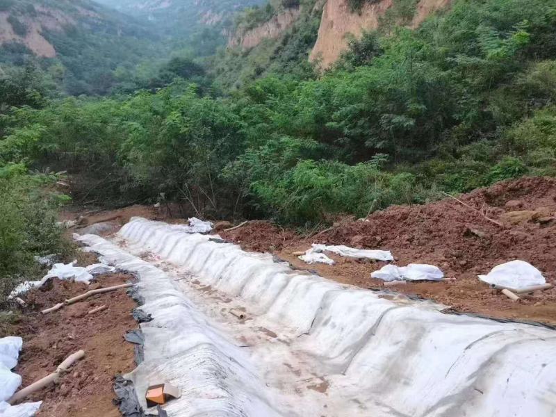 路面水泥地浇水固化水泥毯土坡混凝土工程沟渠防渗护坡工程