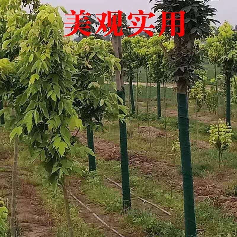 裹树布缠树布园林绿化保湿布防晒防冻包树布植物缠绕防寒布