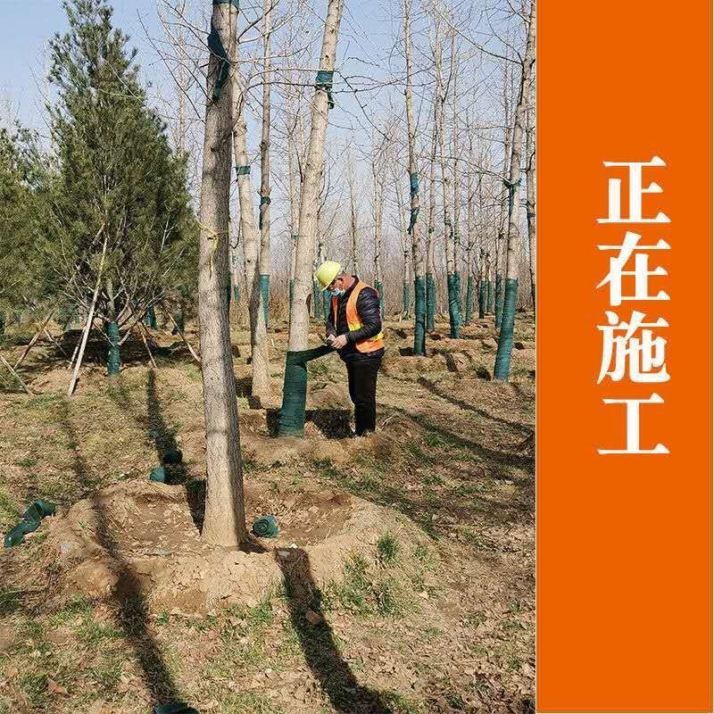 裹树布缠树布园林绿化保湿布防晒防冻包树布植物缠绕防寒布