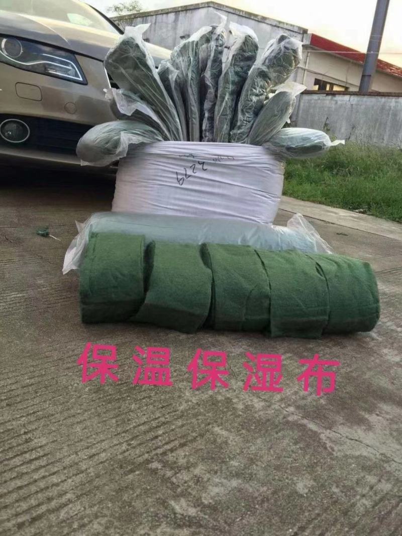 裹树布缠树布园林绿化保湿布防晒防冻包树布植物缠绕防寒布