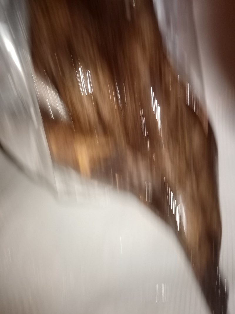 冰鲜笋壳鱼，冰冻笋壳鱼，海南水库原生态笋壳鱼可以长期合作