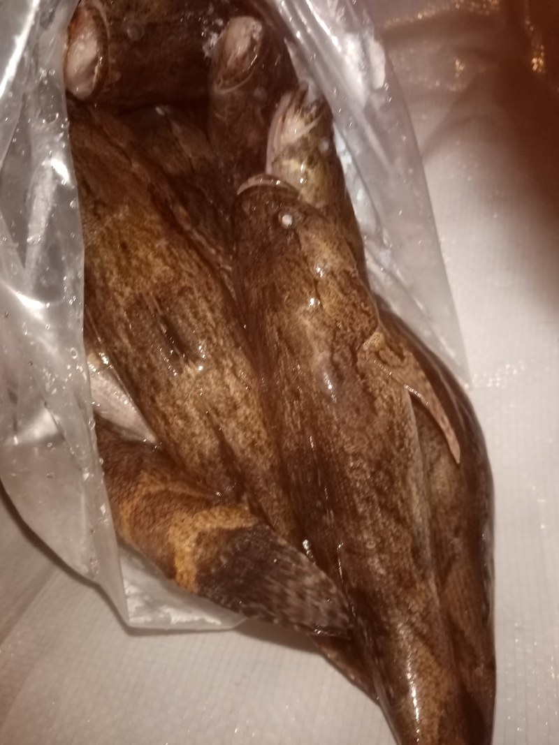 冰鲜笋壳鱼，冰冻笋壳鱼，海南水库原生态笋壳鱼可以长期合作