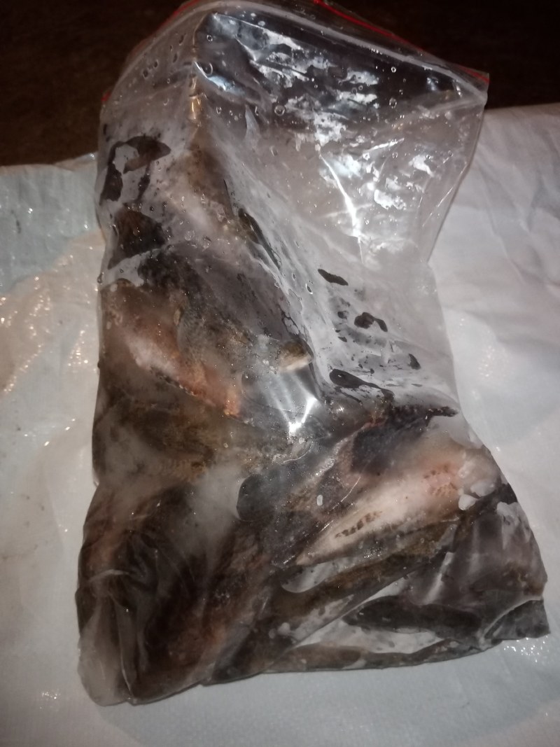 冰鲜笋壳鱼，冰冻笋壳鱼，海南水库原生态笋壳鱼可以长期合作