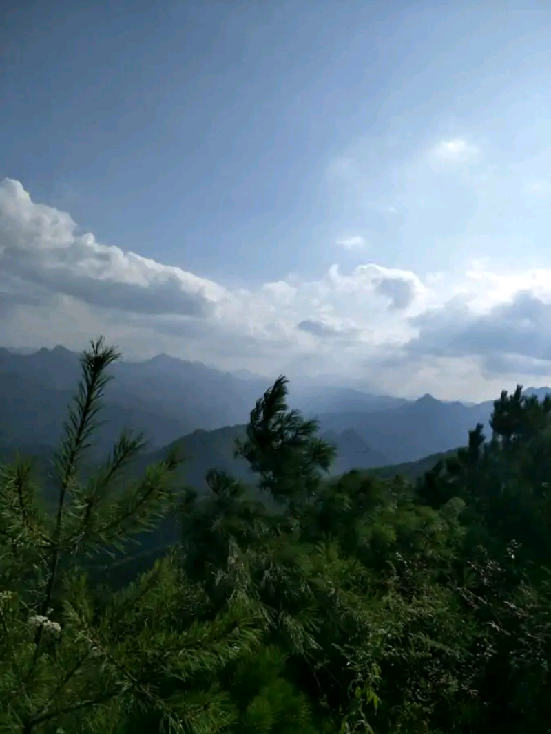 产地批发秦岭深山无污染无杂质优质结晶正宗土蜂蜜