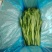 菜心、连州菜心、宁夏菜心、二号菜心基地直供、价格优惠、