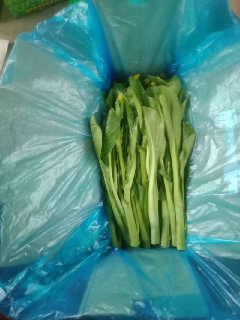 菜心、连州菜心、宁夏菜心、二号菜心基地直供、价格优惠、