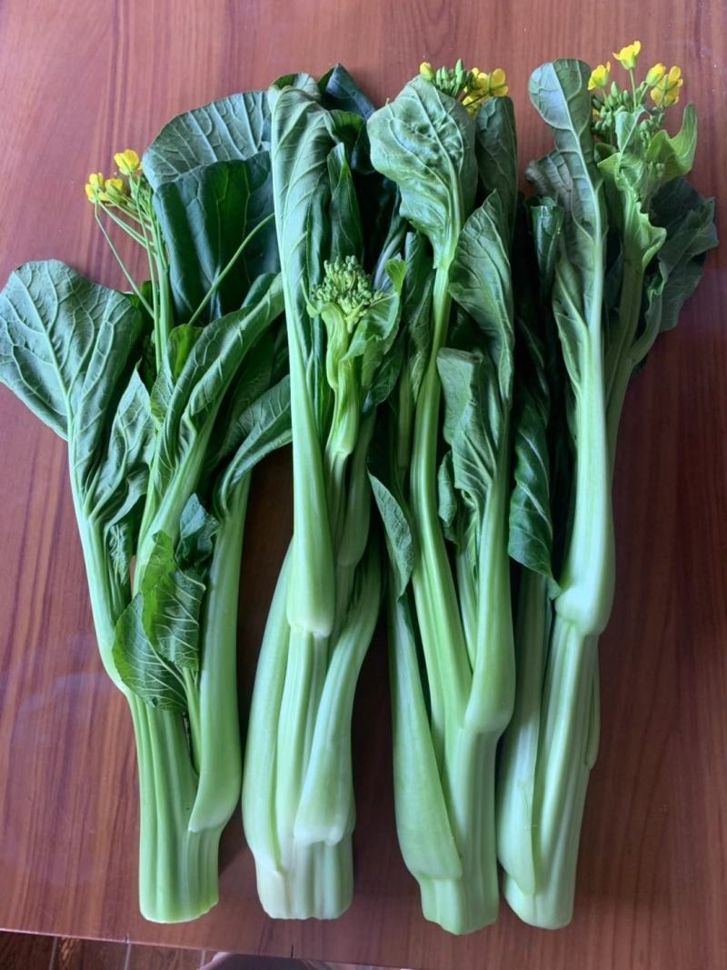 菜心、连州菜心、宁夏菜心、二号菜心基地直供、价格优惠、