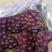 葡萄万亩冷库葡萄基地出售冷库葡萄。冷库葡萄青提红提水果