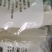 正宗土豆宽粉马铃薯粉火锅炖菜无添加剂260克一包