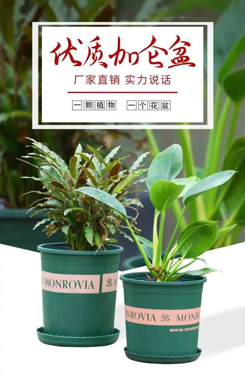 高款加仑花盆塑料特价清仓厂家直销批发绿萝小盆栽托盘特大号