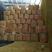 山东土豆荷兰十五土豆产地直供质量保证袋子箱子都有