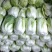 湖北精品黄心大白菜，农家种植量大品质好欢迎咨询