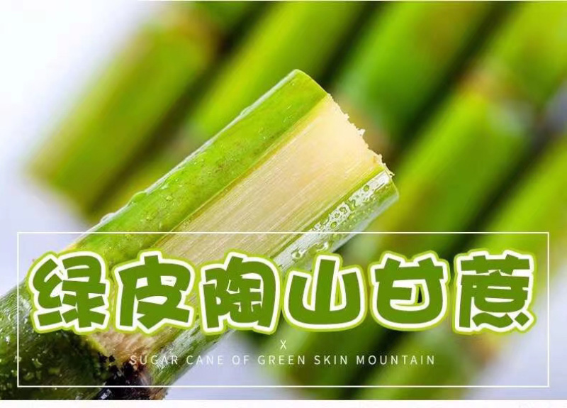 蔗里陶山松脆甜青皮甘蔗