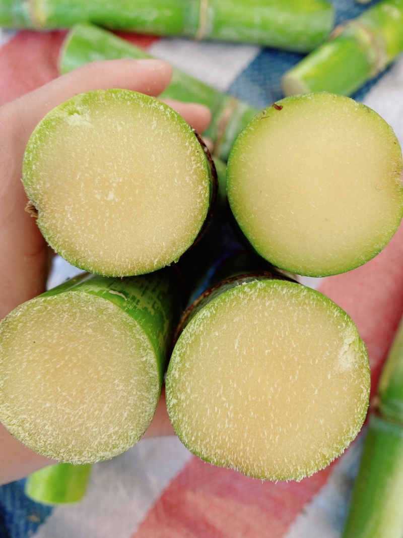 蔗里陶山松脆甜青皮甘蔗