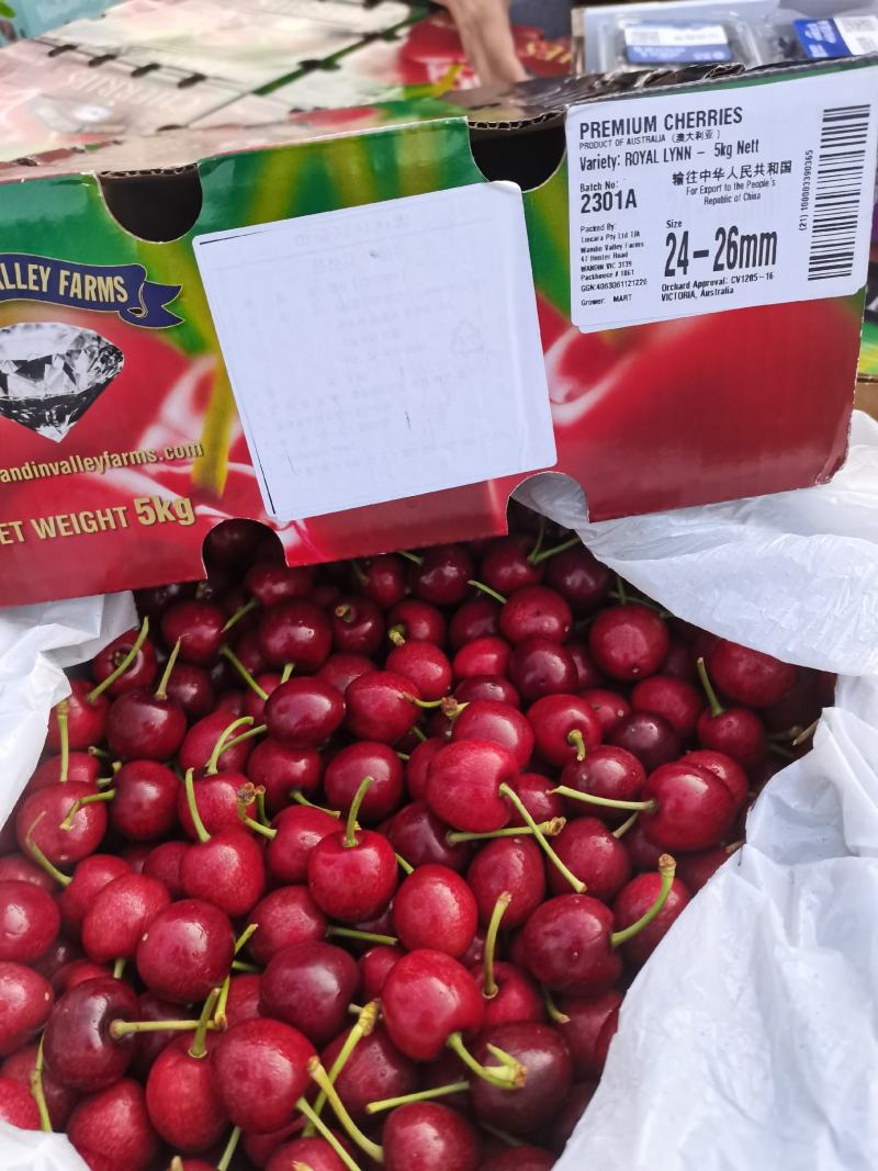 澳大利亚空运车厘子新鲜樱桃