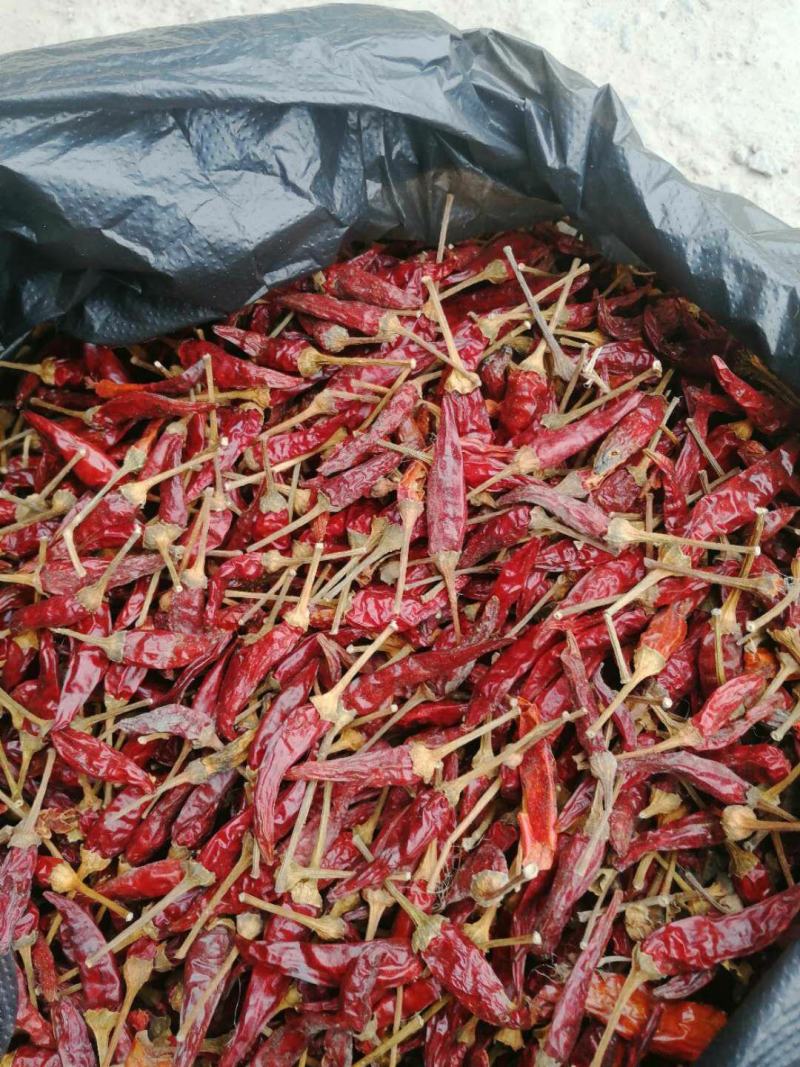 缅甸干辣椒小米椒特辣，可视频看货，产地直供