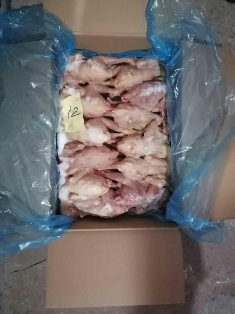 二级三黄鸡，价格美丽，厂家直接发货需要的联系我