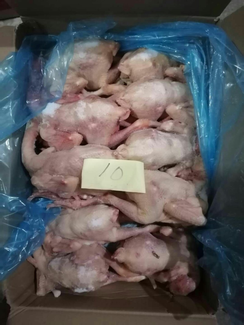 二级三黄鸡，价格美丽，厂家直接发货需要的联系我