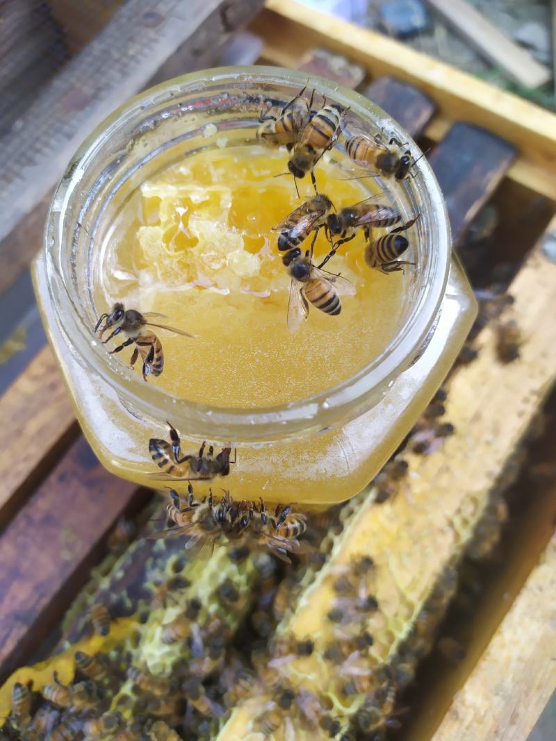 蜂蜜一斤装含150左右蜂巢蜜