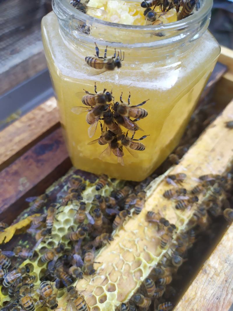 蜂蜜一斤装含150左右蜂巢蜜