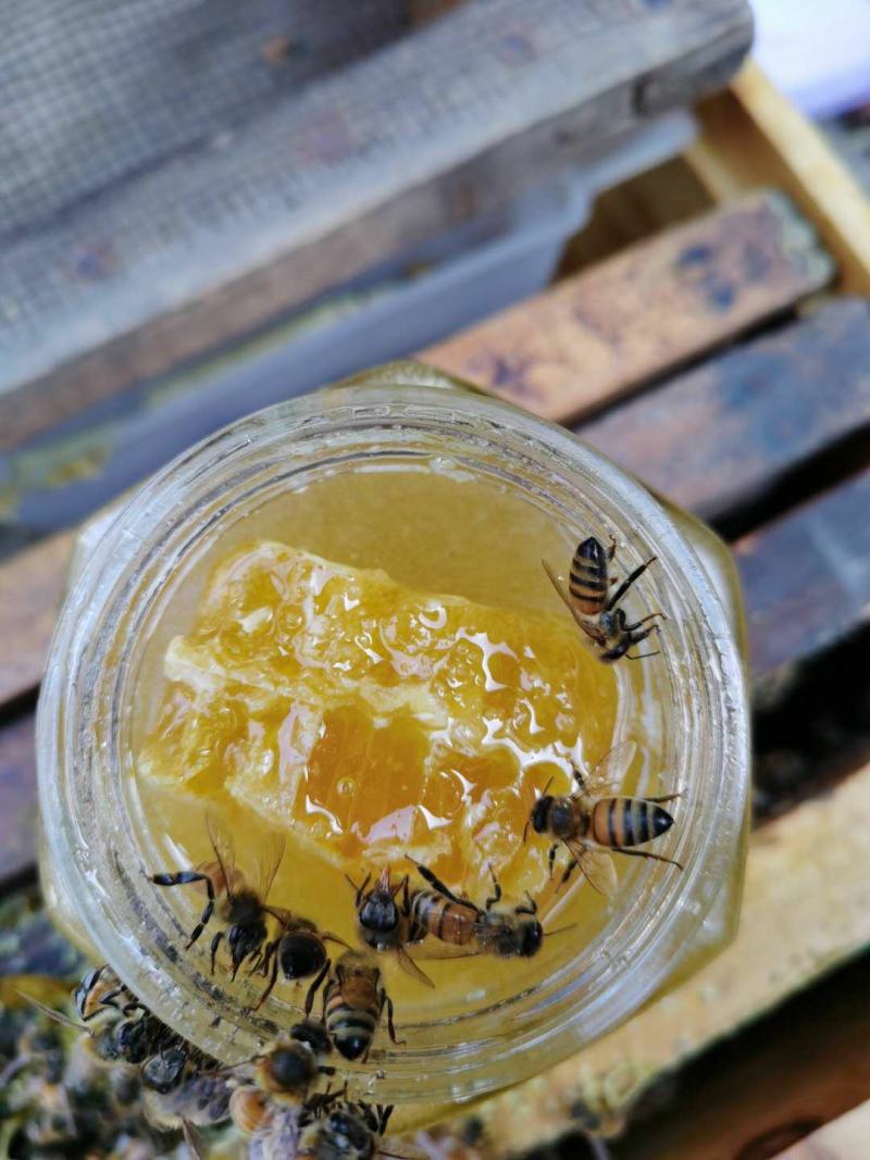 蜂蜜一斤装含150左右蜂巢蜜
