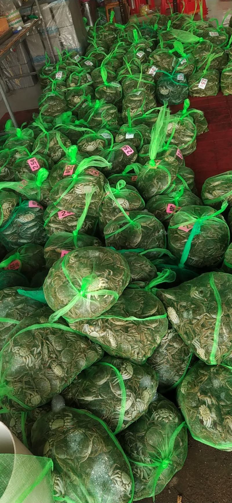 包邮老头蟹大量批发有需要的老板来合作共赢质量优