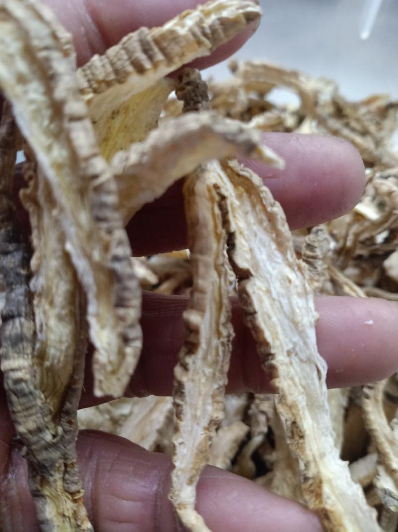 山海螺，野生羊乳根四叶参切片，质量保证量大从优！