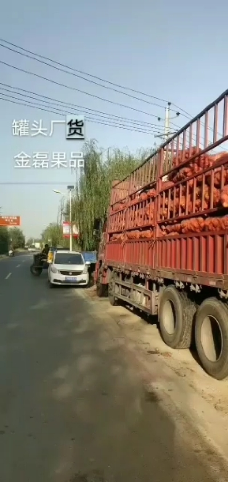 晚秋黄梨.小梨.金磊果品站.大量供应罐头厂货.梨小二