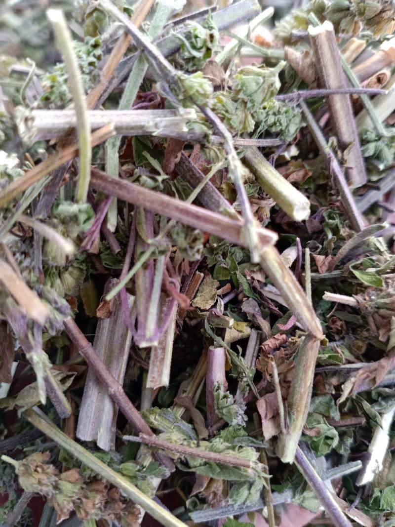 荆芥，荆芥全棵切片，干净无杂质量保证量大从优！