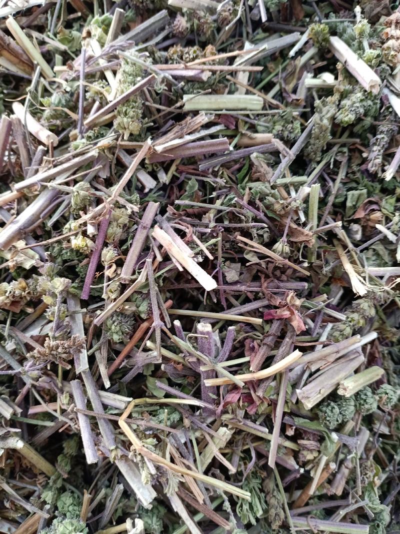 荆芥，荆芥全棵切片，干净无杂质量保证量大从优！