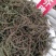 荆芥穗，优质荆芥穗，干净无杂质量保证量大从优！