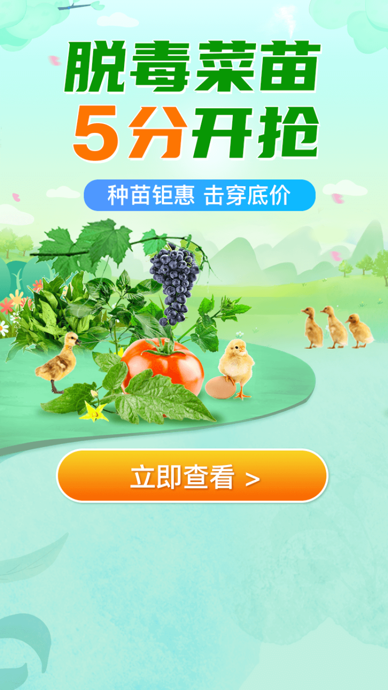 白萝卜，可以随时看货