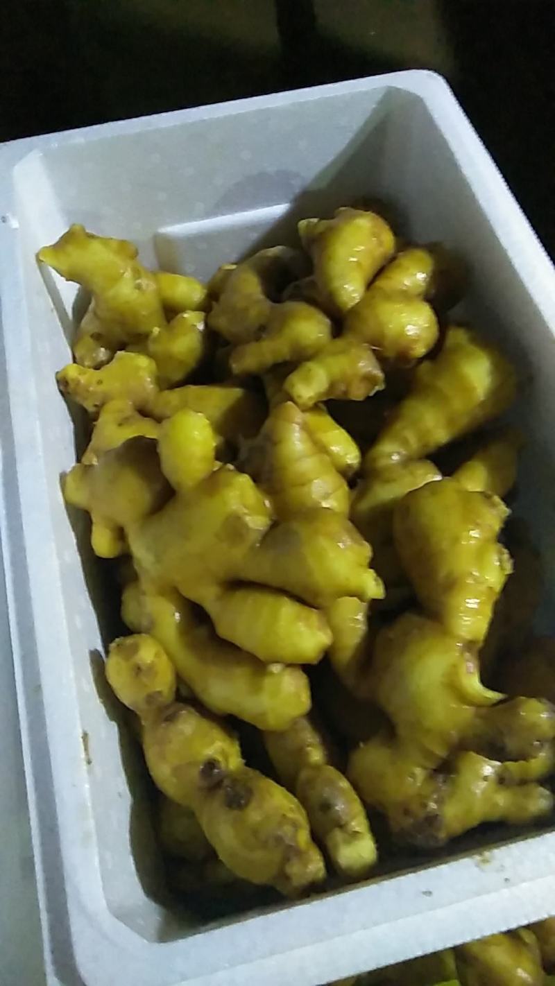 山西生姜，大黄姜，水洗生姜，仔姜，风干姜货源充足