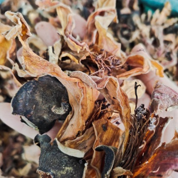 广西野生木棉花新货干花货源充足，全国发货