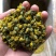 2020年新货大别山野菊花菊花茶野生药厂小菊花