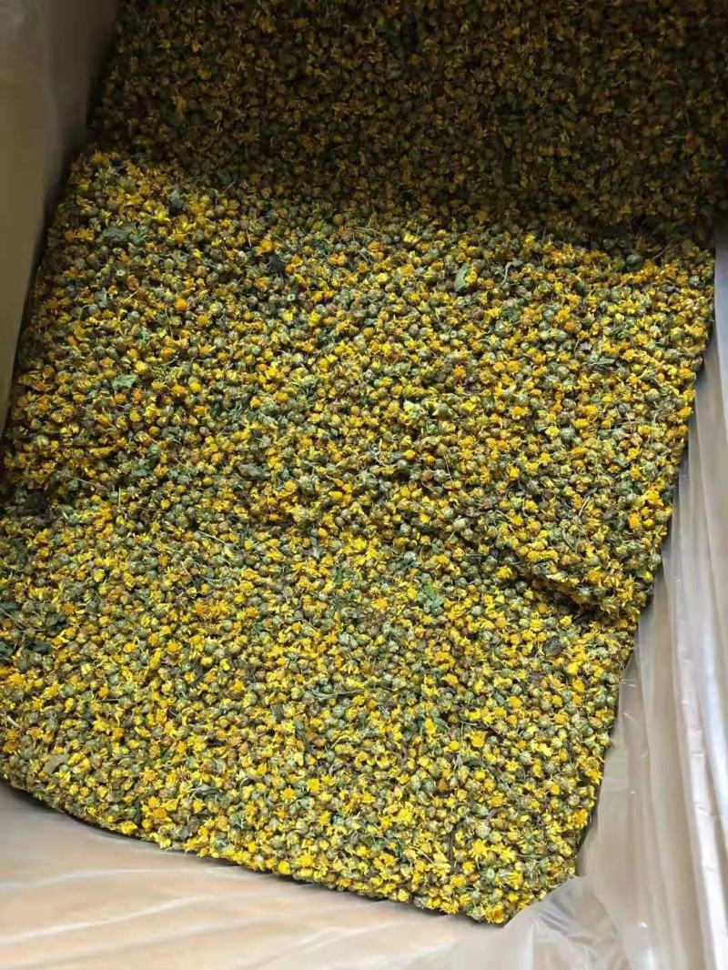 2020年新货大别山野菊花菊花茶野生药厂小菊花
