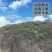 2020年新货大别山野菊花菊花茶野生药厂小菊花