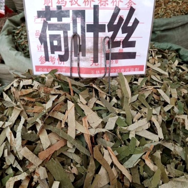 广西货荷叶丝可整张荷叶供应