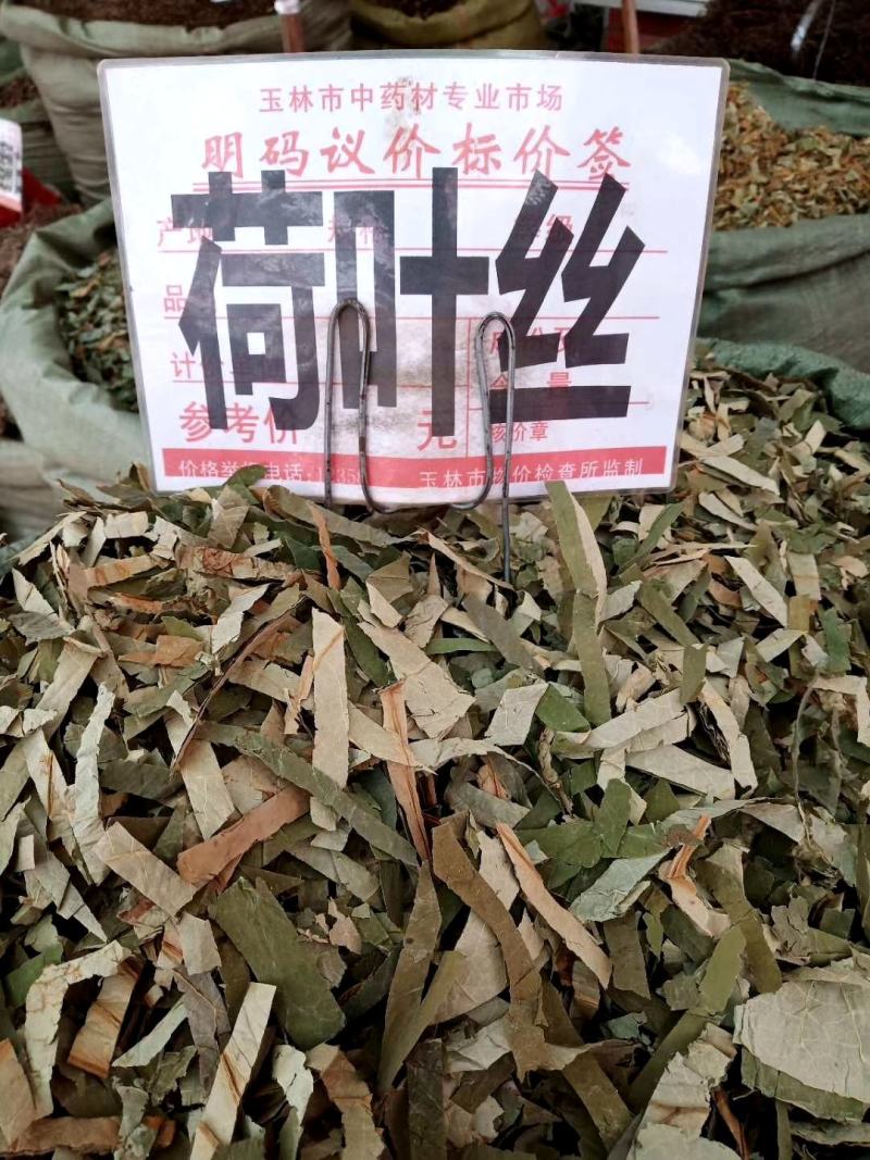 广西货荷叶丝可整张荷叶供应