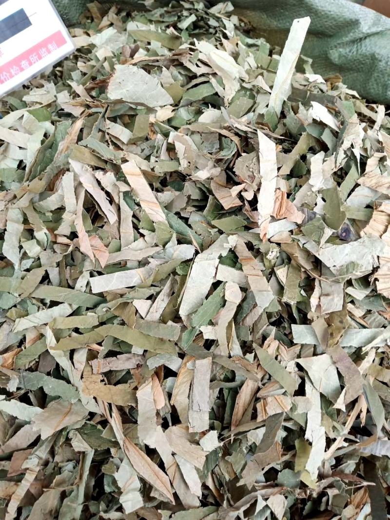 广西货荷叶丝可整张荷叶供应
