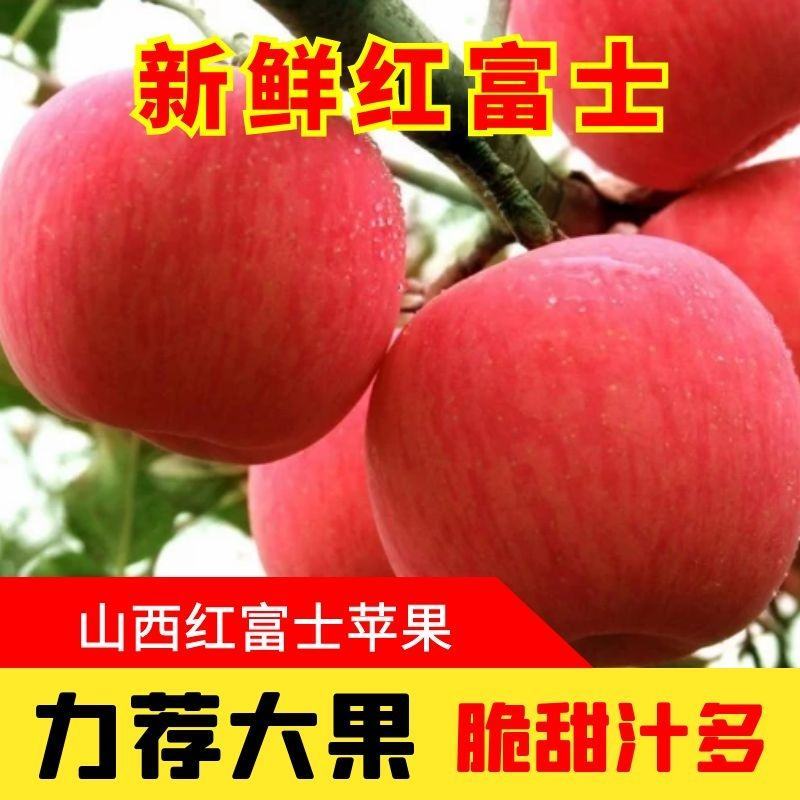 《现摘现发》山西红富士苹果，规格齐全全国包邮支持一件代发