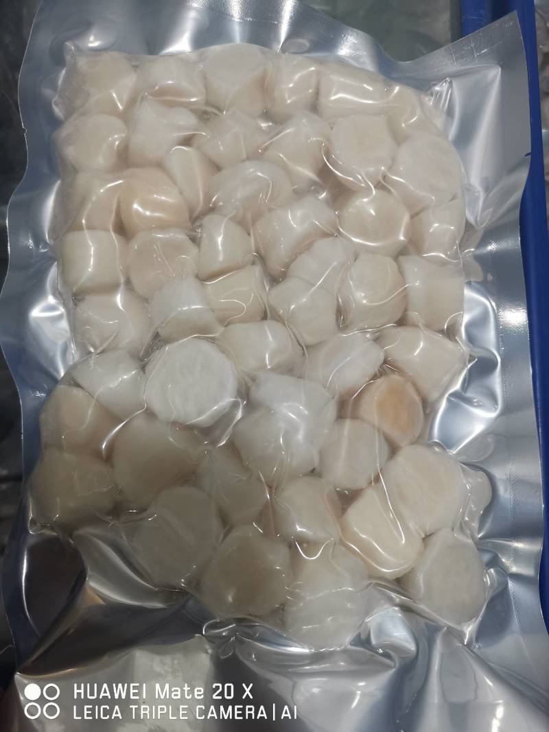 单冻扇贝柱，新鲜海鲜水产大瑶柱贝柱，元贝，鲜贝