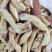新货牛大力薯片金钟根煲汤料