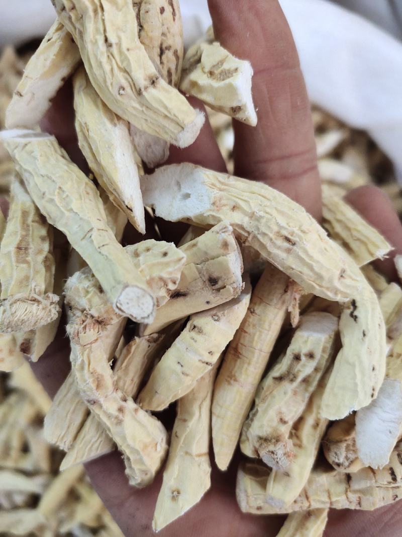 新货牛大力薯片金钟根煲汤料