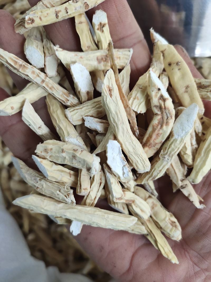 新货牛大力薯片金钟根煲汤料